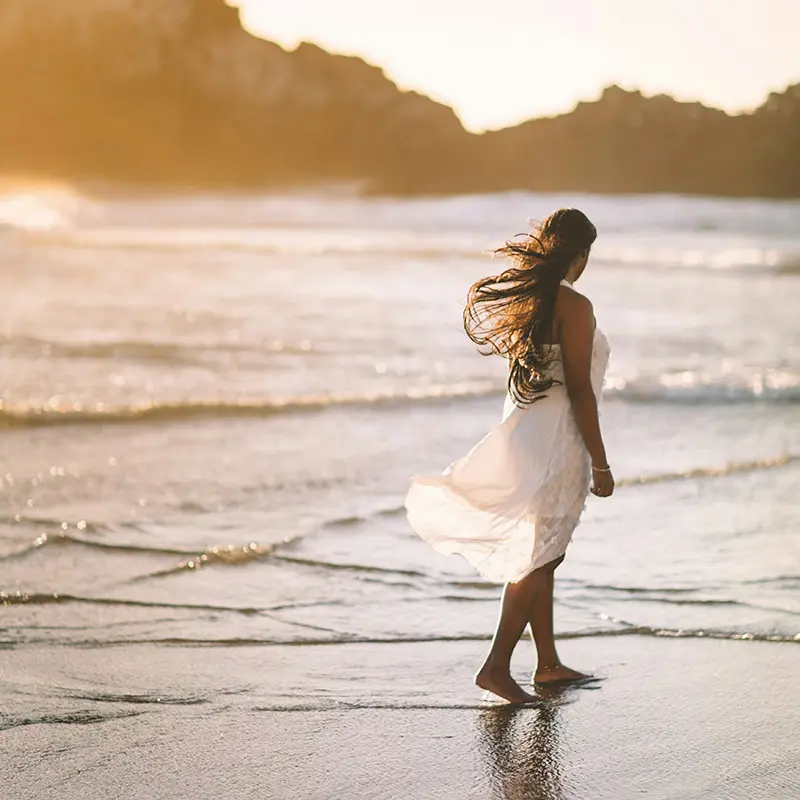 L'Harmonie Formulario Inicio